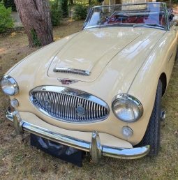 Austin-Healey 3000 BJ8 1965