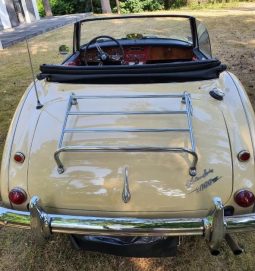 
										Austin-Healey 3000 BJ8 1965 full									